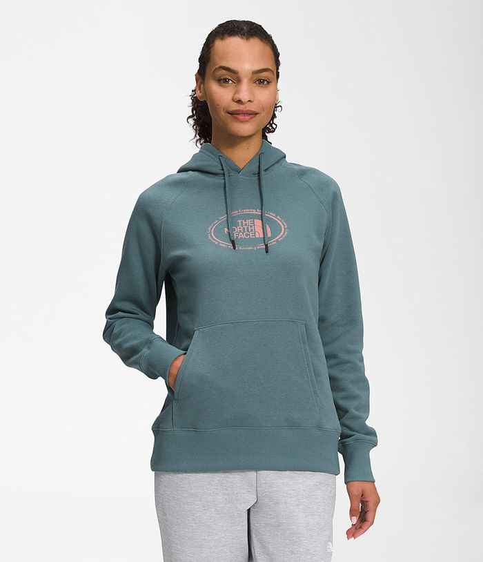 The North Face Womens Hoodie Novelty Graphic 352YLFQPM - Blue